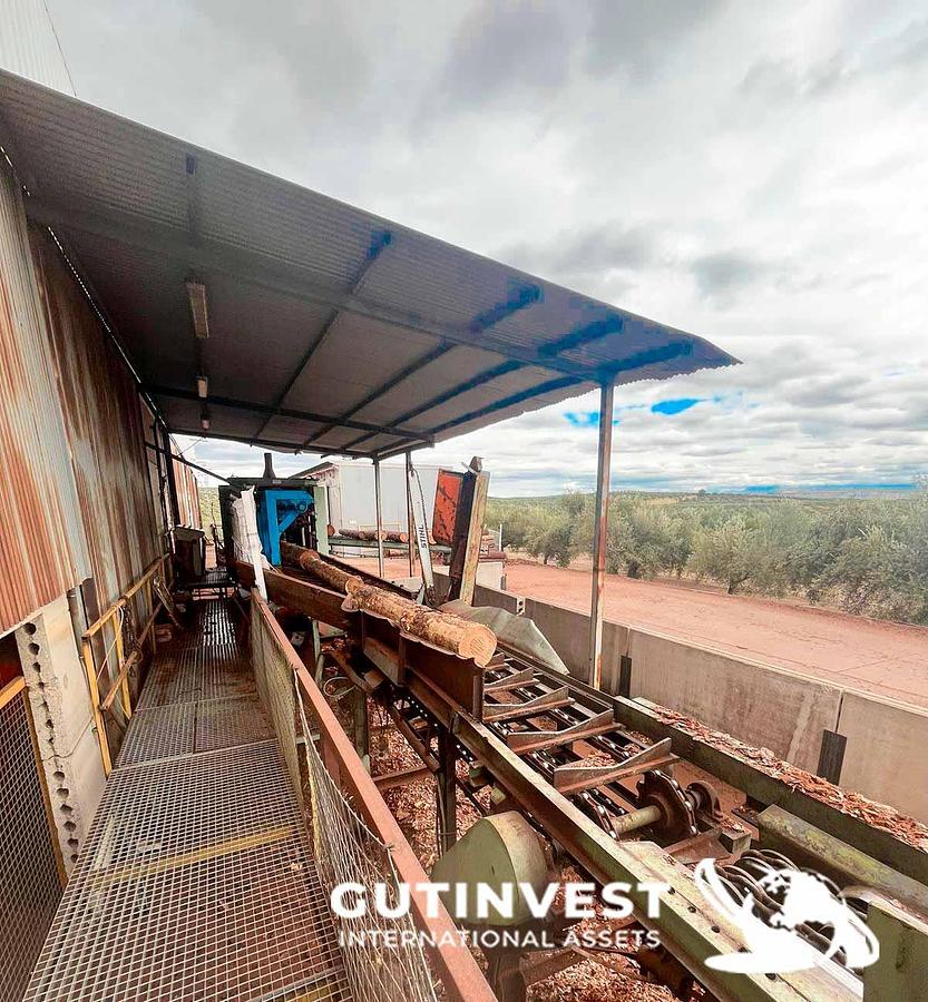 Usado Aserradero para fabricación tableros pallets madera
