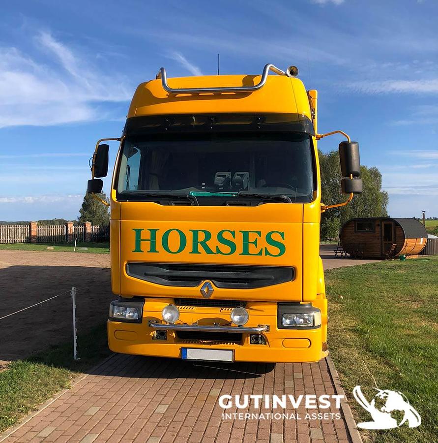Used 1 - Horsebox truck