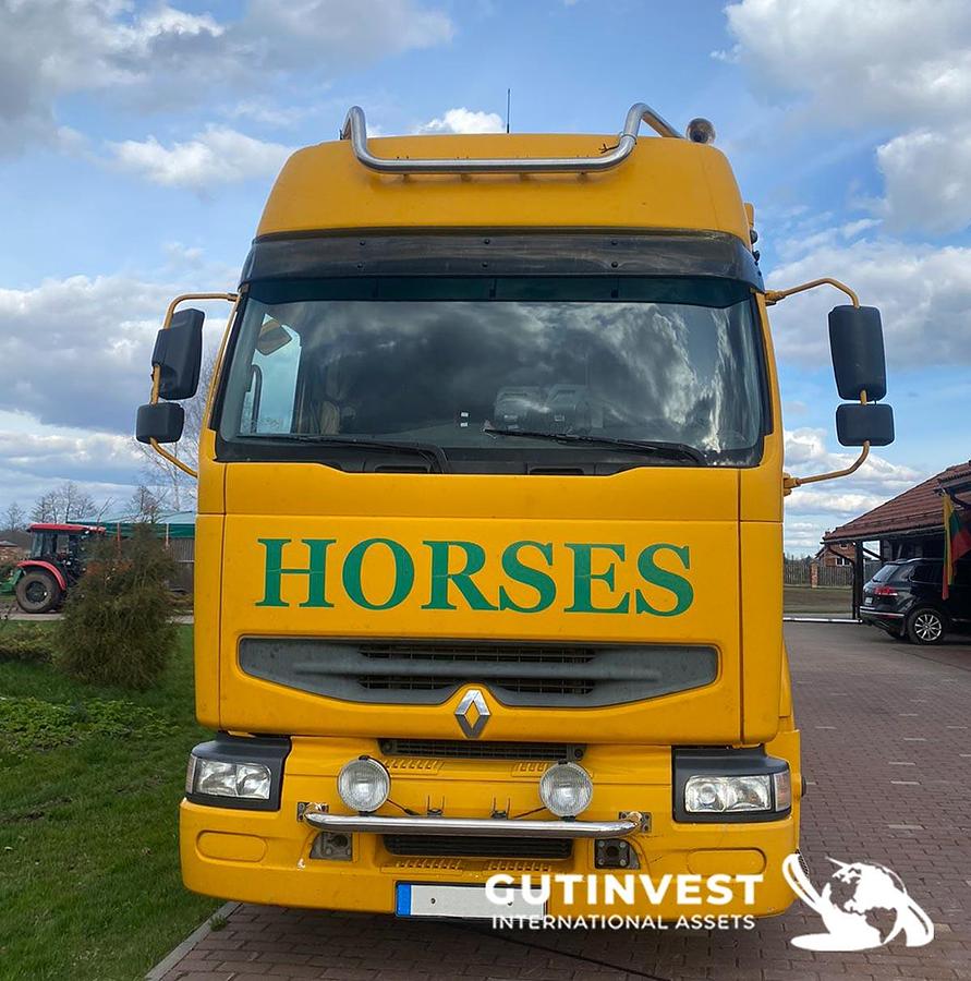 Used 1 - Horsebox truck