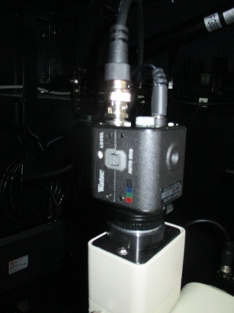 Used 2010 MPI Corporation 	LEDA P6801