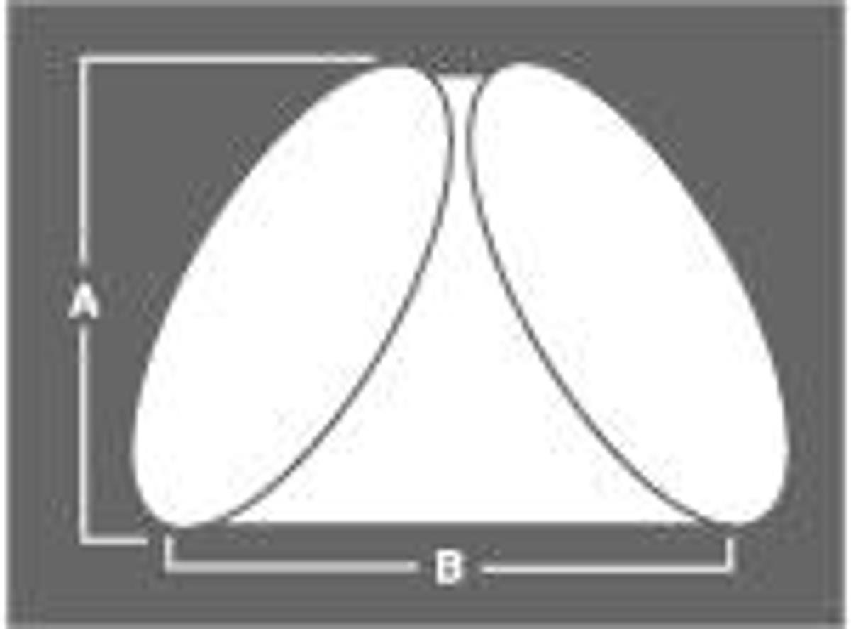 #2 Angle Cut Triangle 1-3/8" x 1/2"
