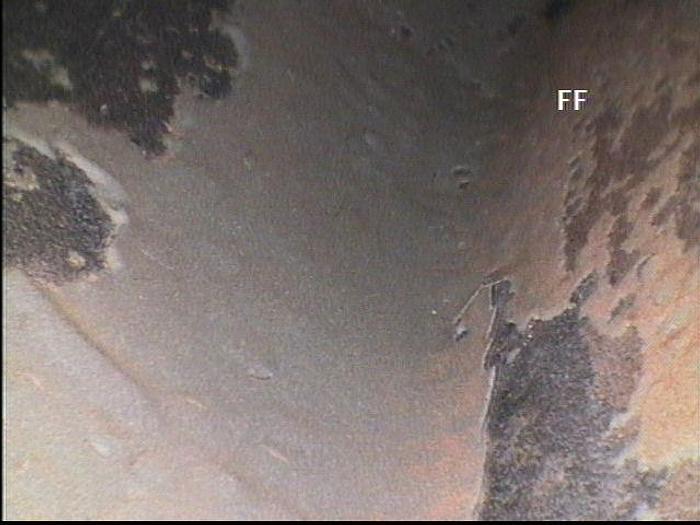 Refurbished NASH CL1001 #19585