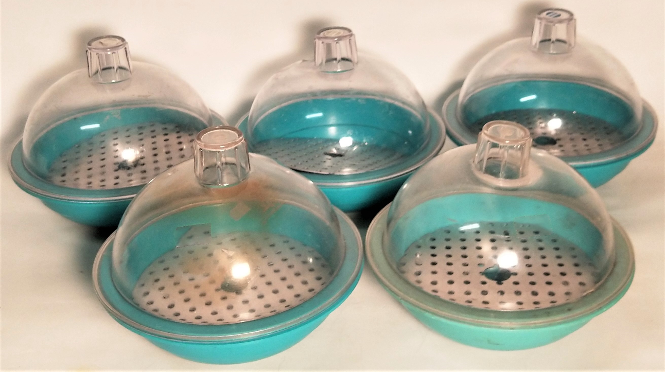 Used Nalgene 5315-0150 Plastic Desiccator - 150mm ID