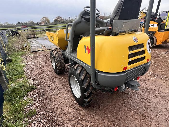 Used 2017 WACKER NEUSON 1001 1 tonne high tip dumper