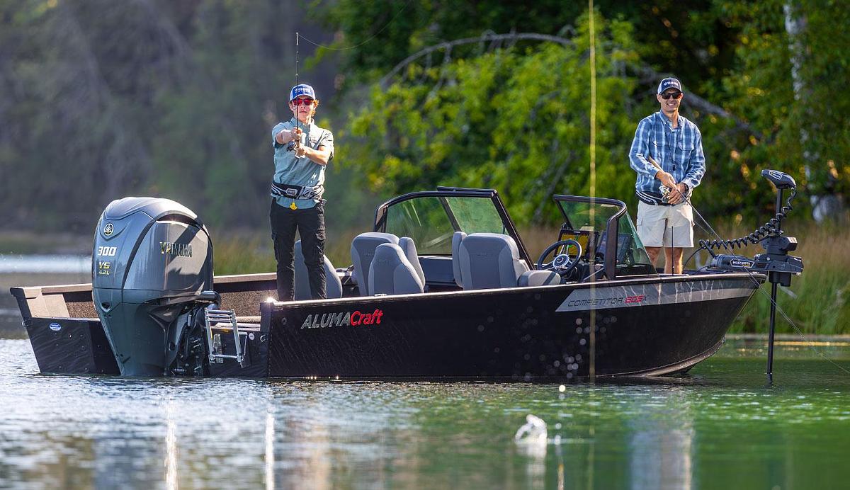 V6 4.2L 300 / 250 / 225 hp