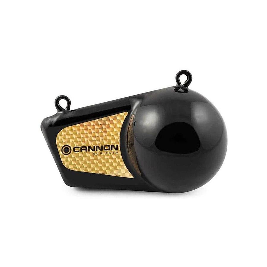 Cannon 10 Pound Flash Weight