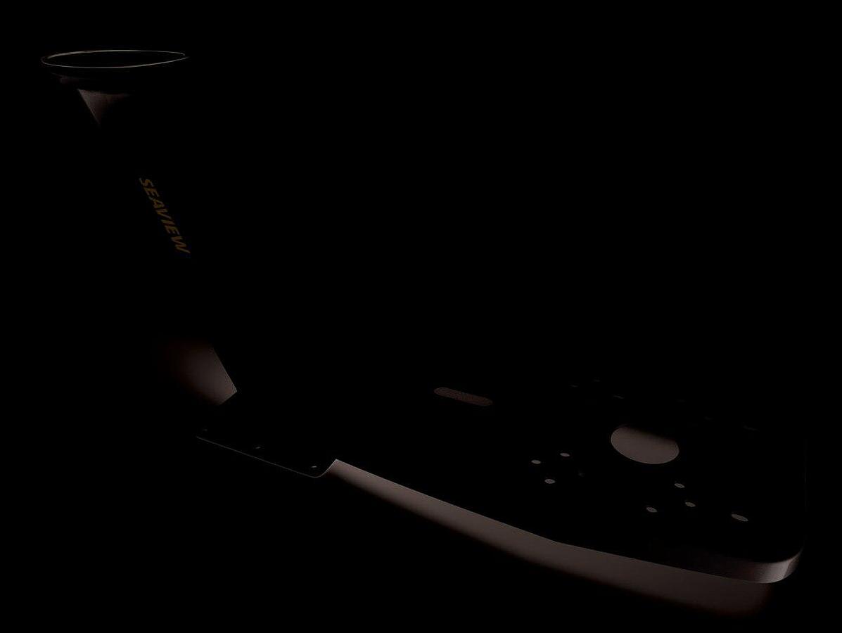 Seaview PMADM2M2 Dual Mount Aft Rake Requires Plate