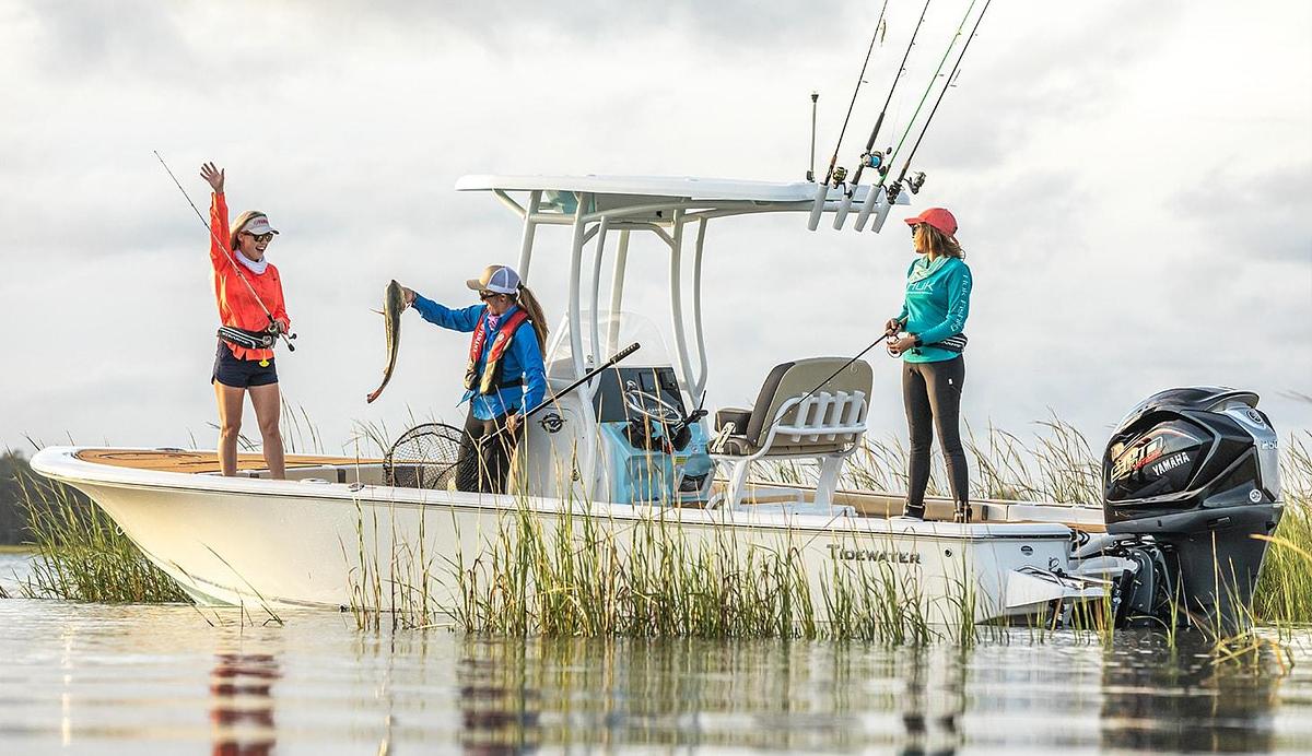 V6 4.2L 250 / 225 / 200 hp