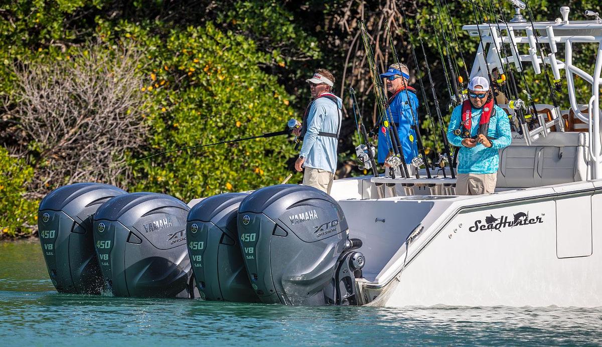 V8 5.6L 450 / 425 hp