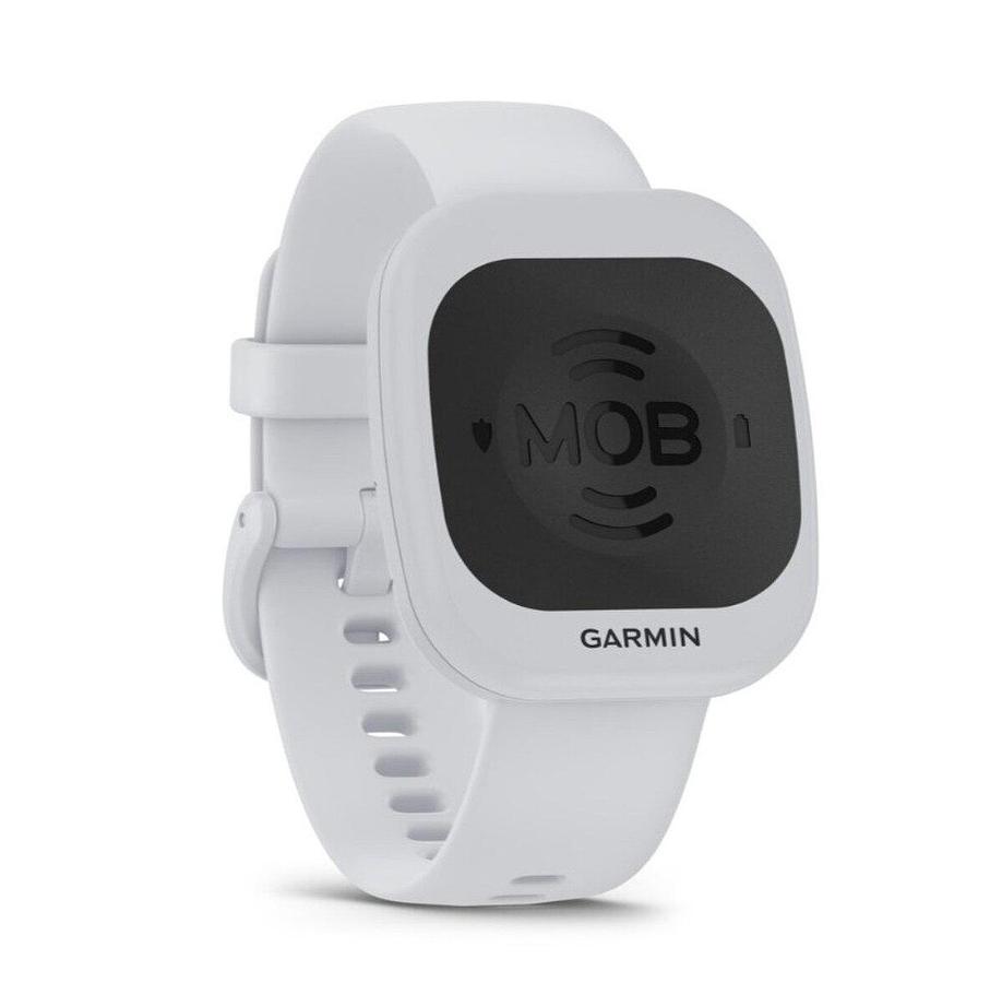 Garmin Onboard System Hub and One Tag