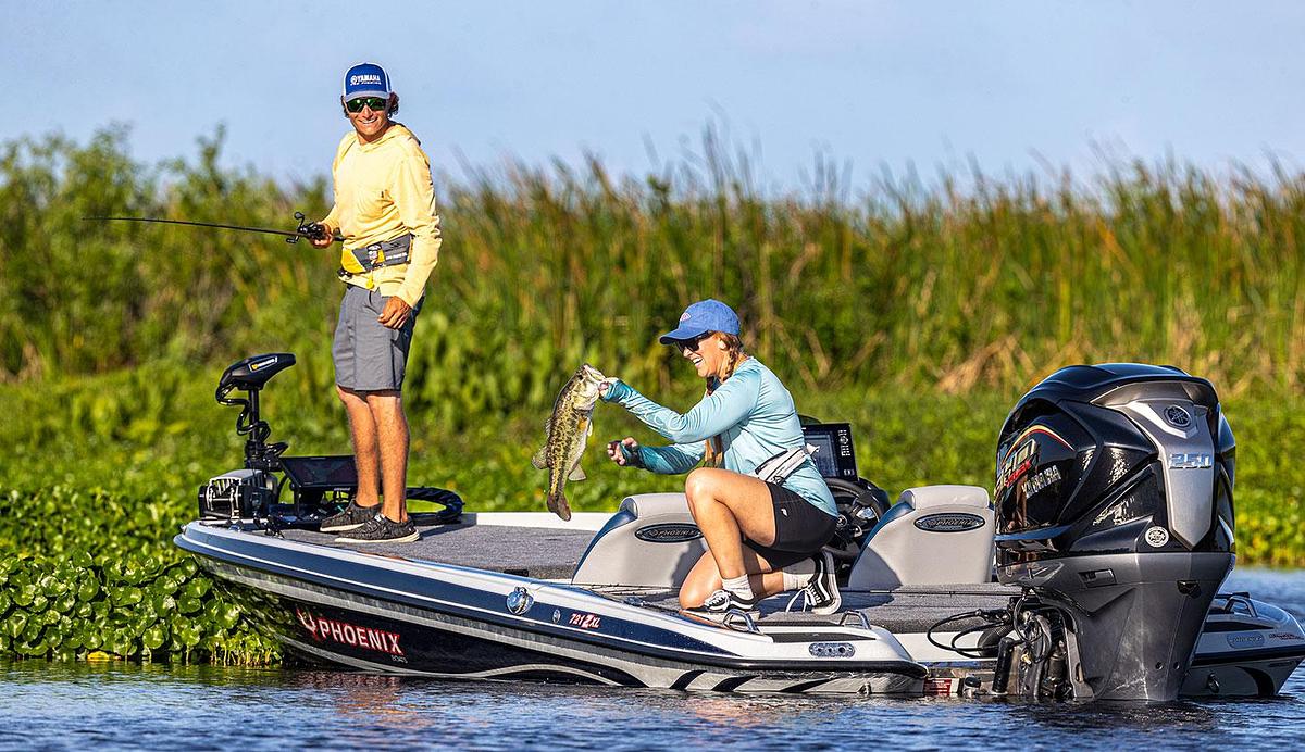 V6 4.2L 250 / 225 / 200 hp