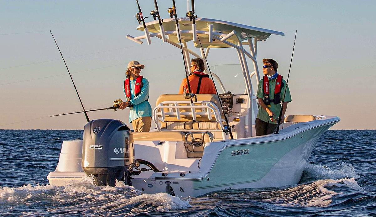 V6 4.2L 300 / 250 / 225 hp