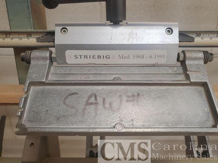Used Striebig Standard 5192 AH Vertical Panel Saw