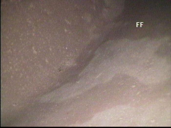 Refurbished NASH CL2002 #19587