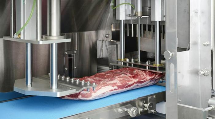 Nantsune Model NTD-300F Libra 300F 3D Frozen Fixed Weight Meat Slicer
