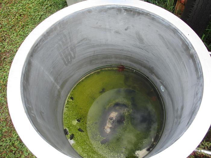 Used 40 GALLON MIX CAN FOR ROSS MIXER - S/S - JACKETED (4 AVAILABLE)