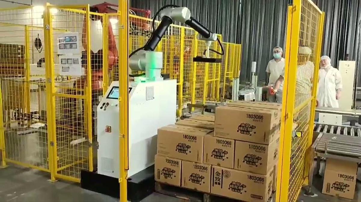 NEW - COLLABORATIVE PALLETIZING ROBOT