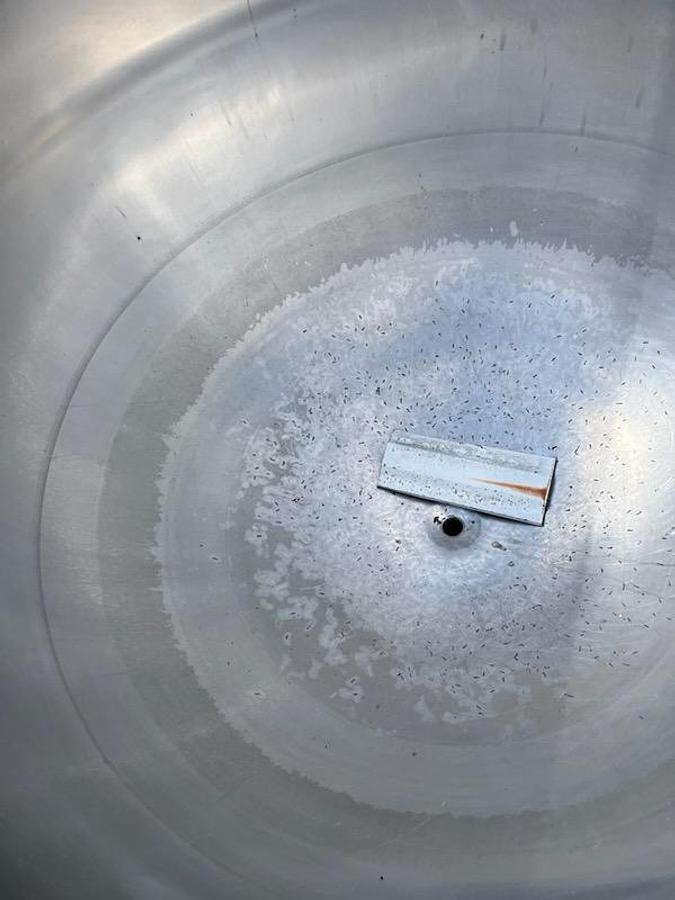 Used 600 GALLON HAMILTON KETTLE - S/S - 50 PSI JACKET