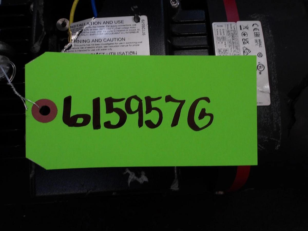 Used GRUNDFOS 2" PUMP, #615957G NEW