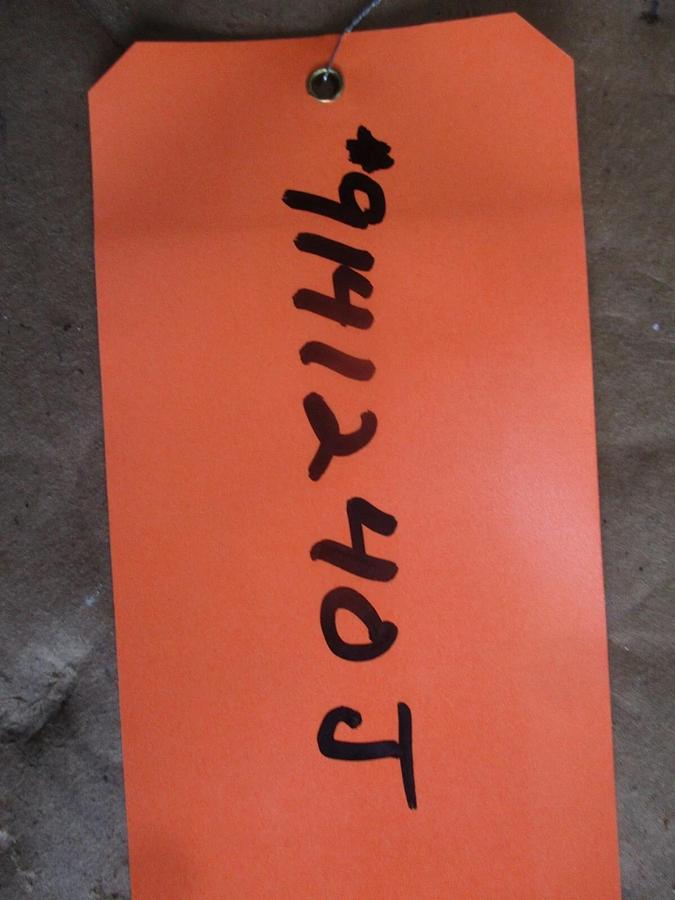 Used TITAN - FCI 1/2" STAINLESS Y-STRAINER, #9141240J NEW