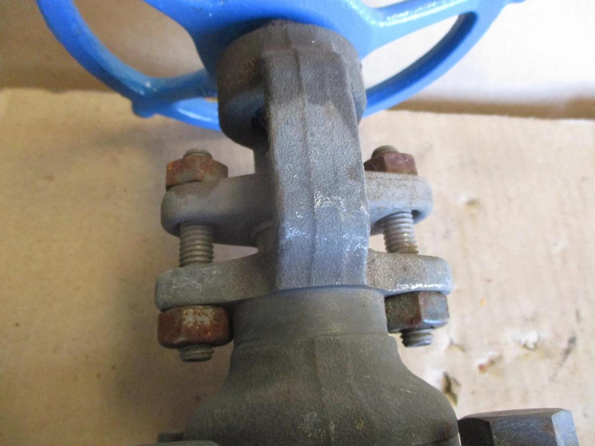 Used VELAN 2" IRON BUTT-WELD GATE VALVE, #67204J NEW (WEATHERED)