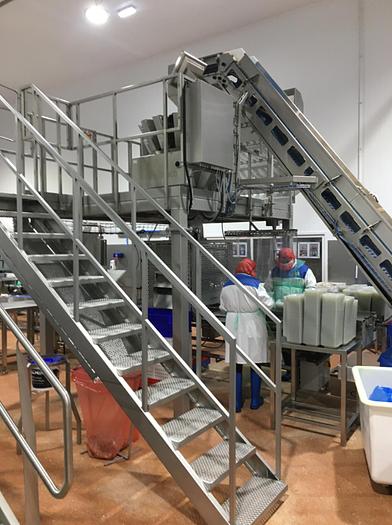 Used MULTIHEAD WEIGHER, GANTRY AND ELEVTOR