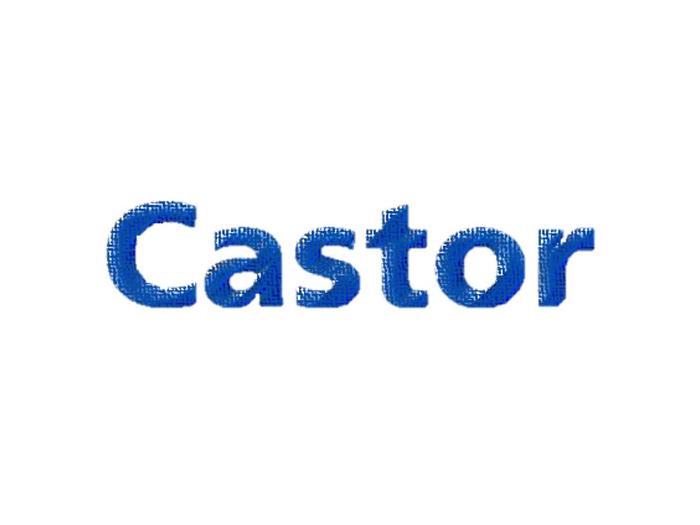 CASTOR 255 VS