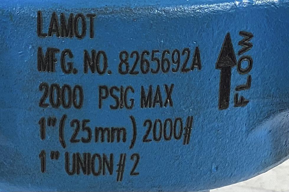 Rupture Disc Holder, Hammer Union, 1" 2000#