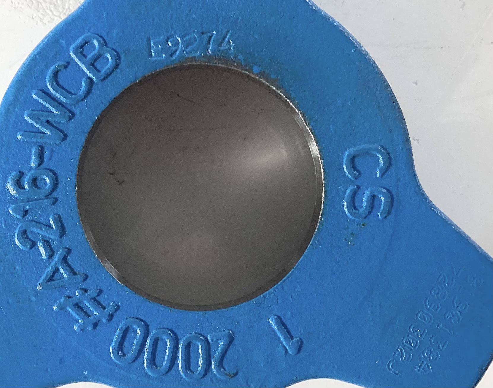 Rupture Disc Holder, Hammer Union, 1" 2000#