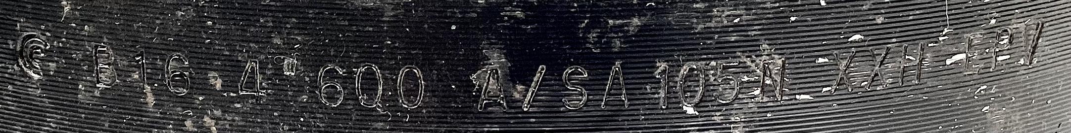 Flange, Pipe, 4", RFWN, 600, XXH