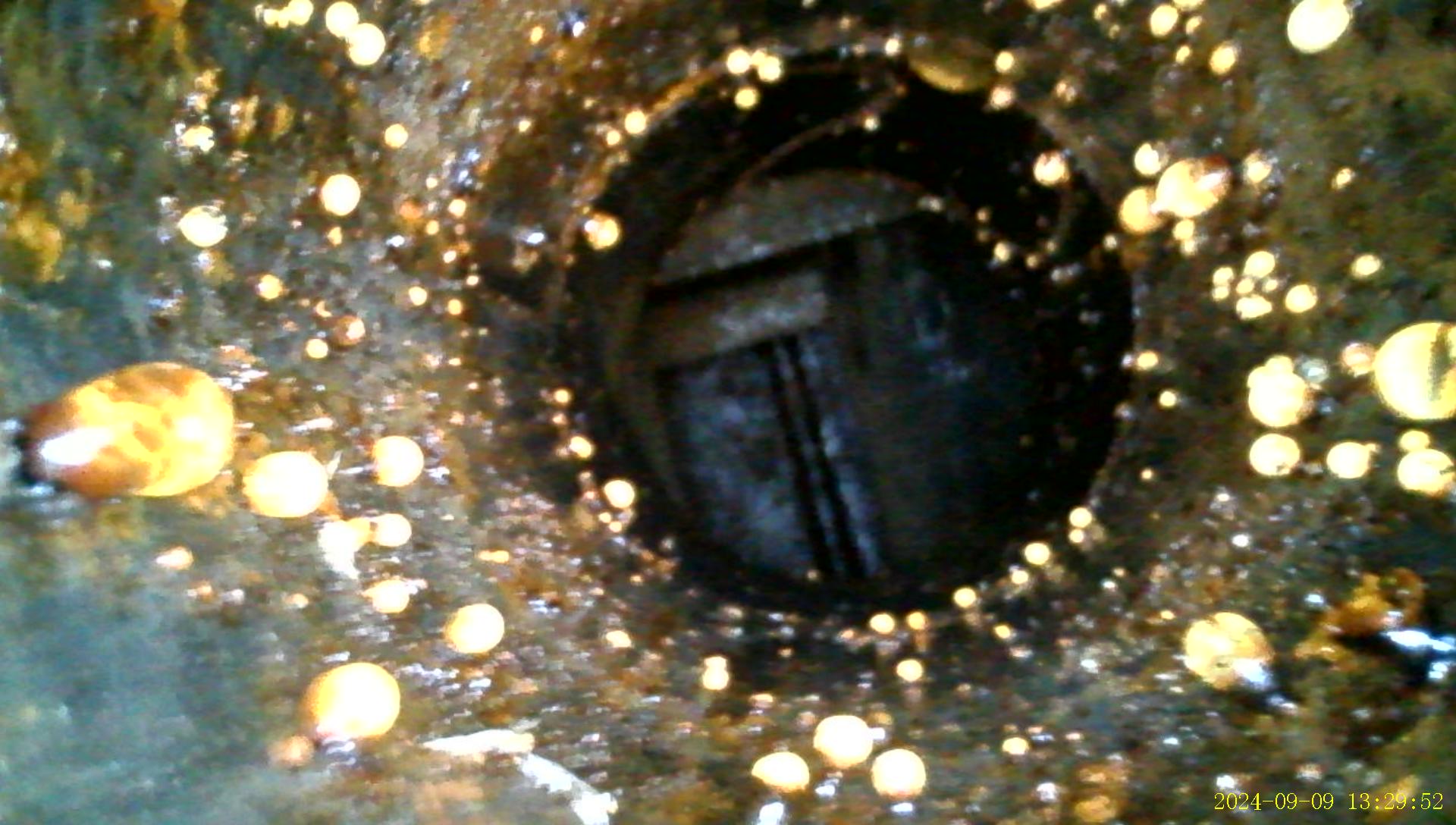 Used Dehy, Regen, 250 MBTU