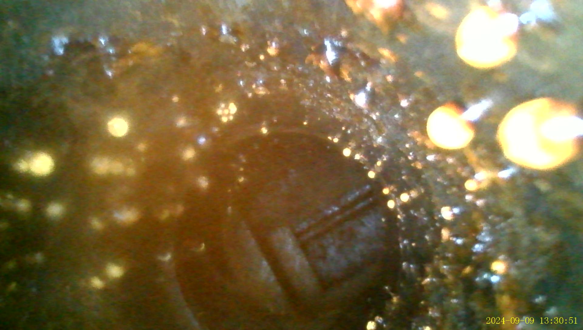 Used Dehy, Regen, 250 MBTU