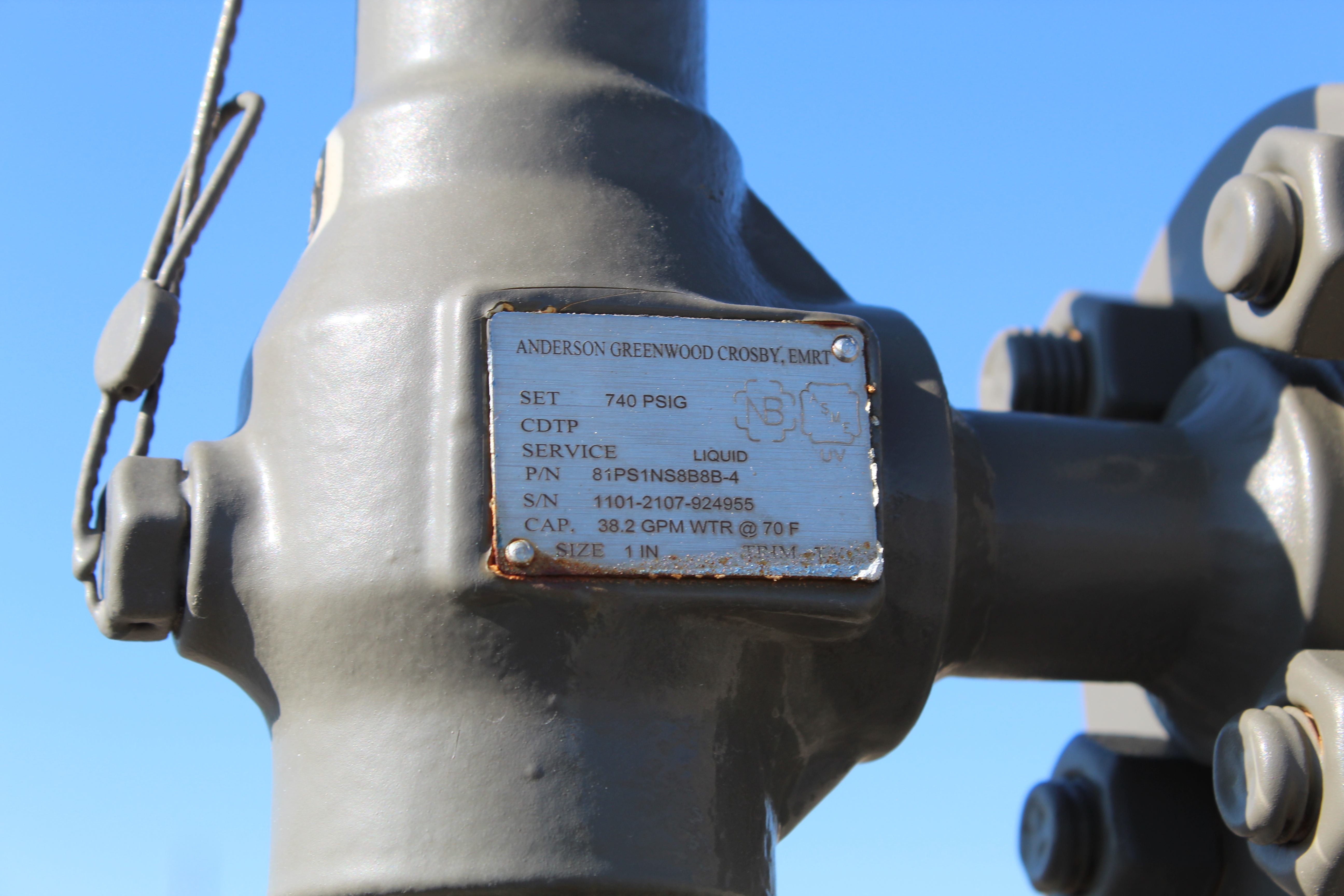 Pig Launcher, 6", 300#