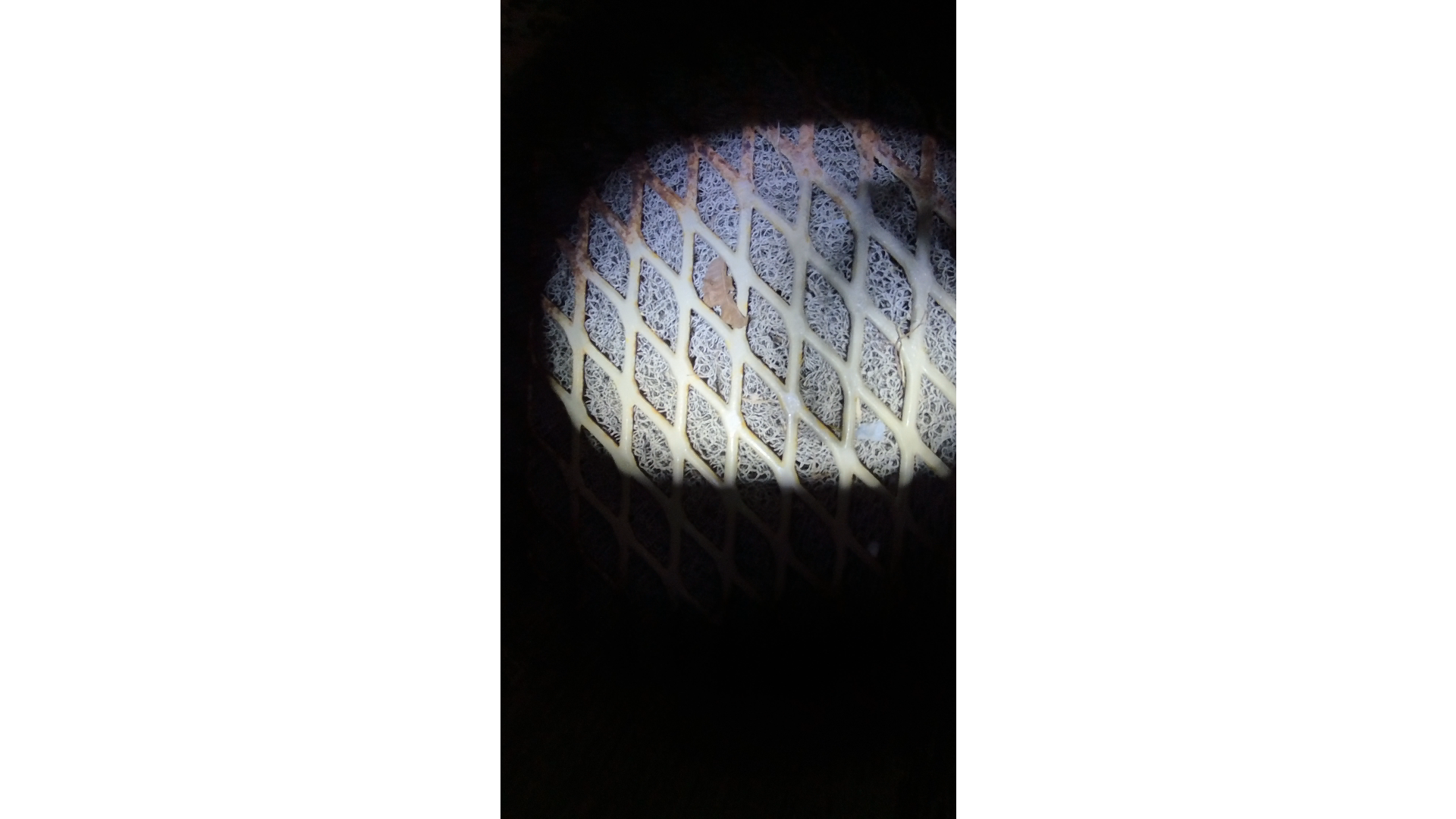 Used Separator, Vertical, 2P, 24"x6', 250#