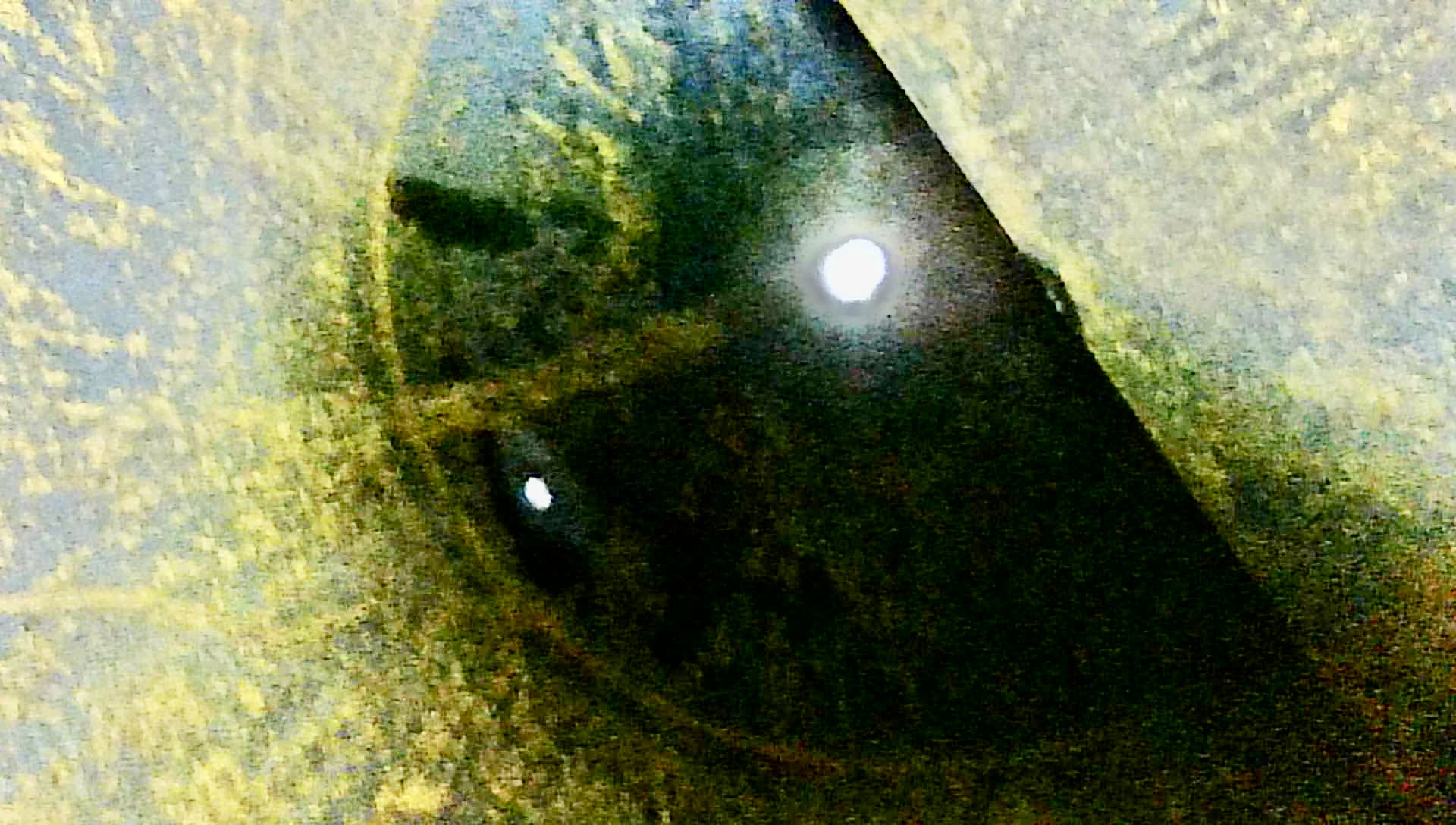 Sand Trap, Gravity, 30"x10', 2000#