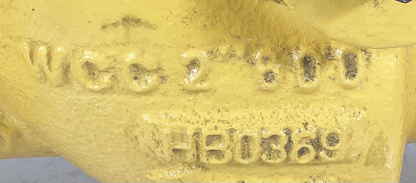 Valve, Check, 2", RF600, 1500#