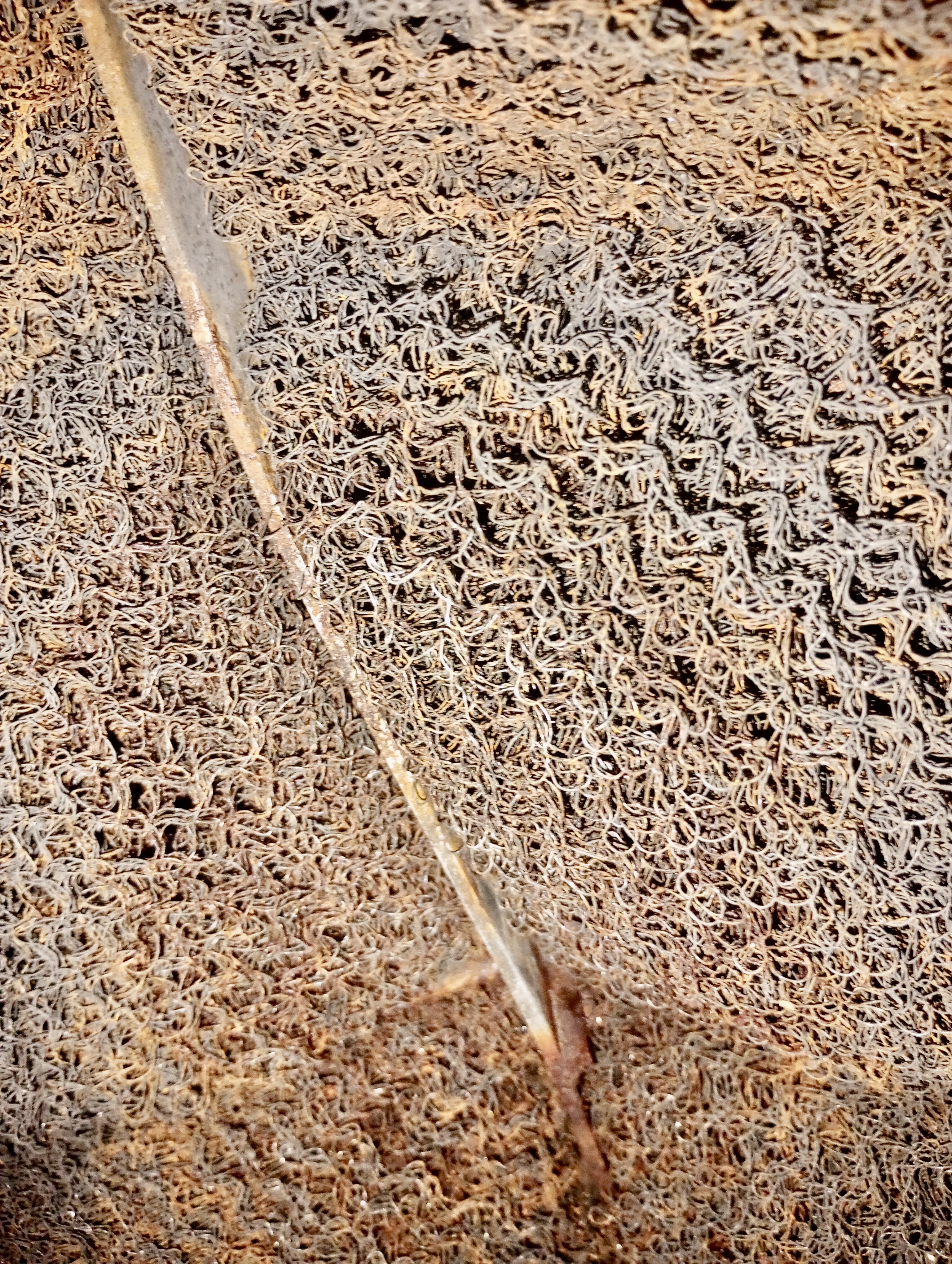 Used Separator, Vertical, 2P, 30"x10', 1440#