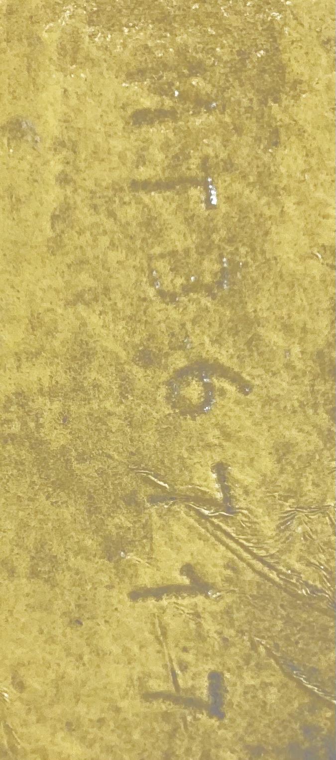 Valve, Check, 6", RF150, 1900#