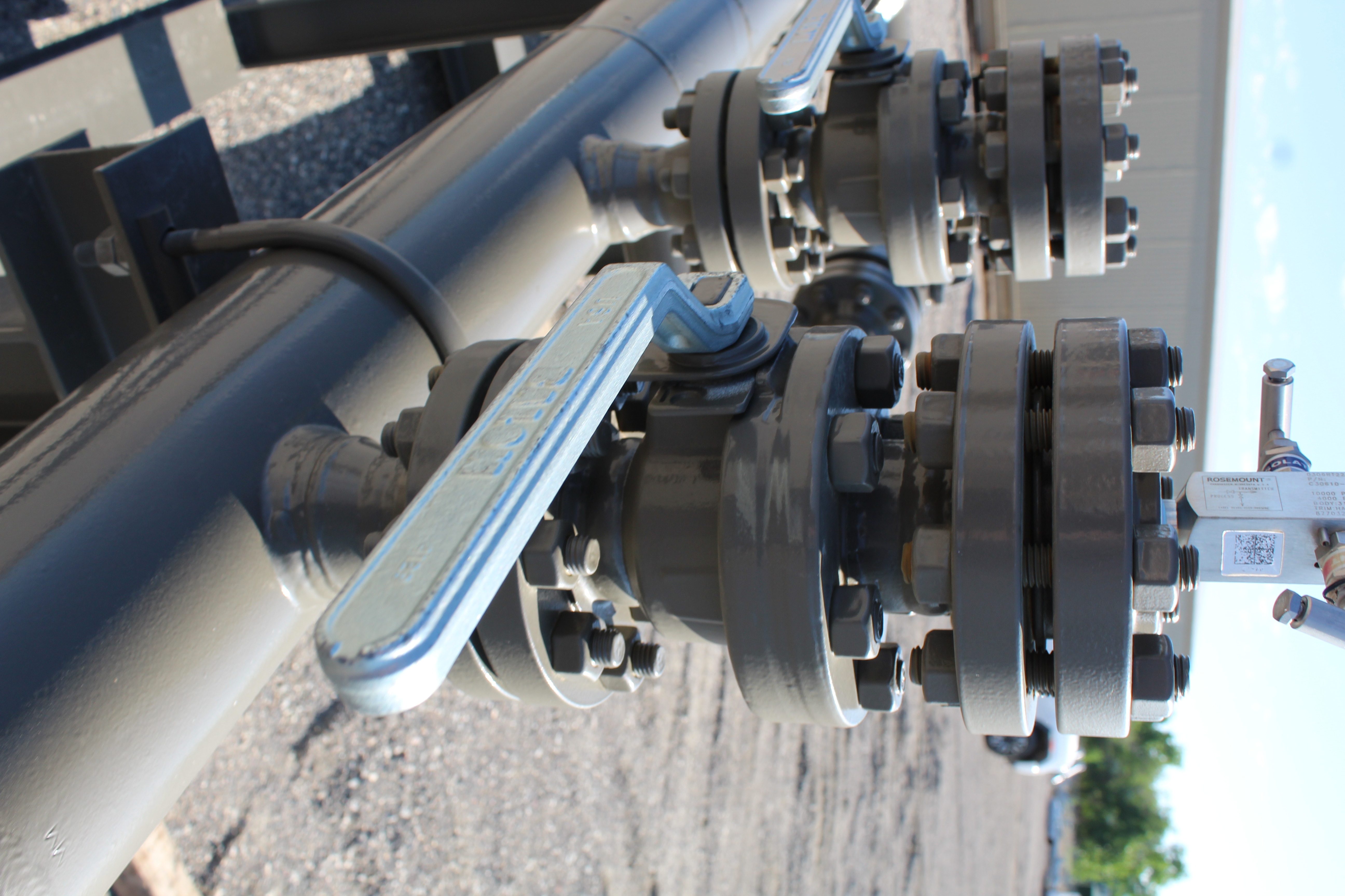 Pig Receiver, 6", 300#