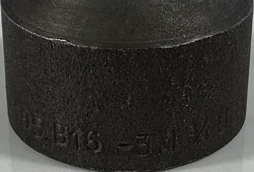 Couplet, THDxSW, 3/4, FNPT, 3000#, SA105