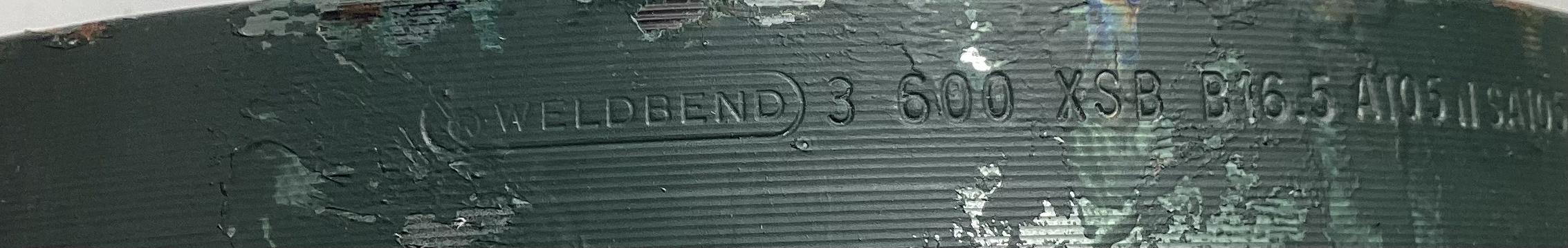 Flange, Pipe, 3", RFWN, 600, XH