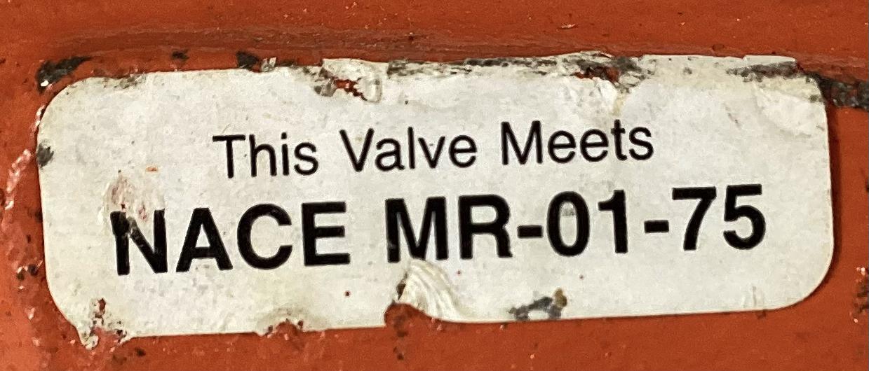 Check, Valve, 1", 2000#