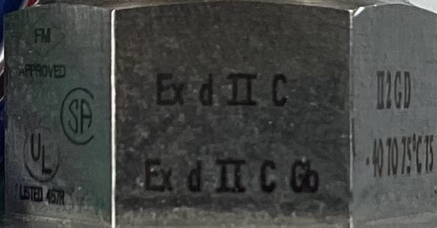 Relay, Sand Probe, Ruelco, 3/4" MNPT, Electric