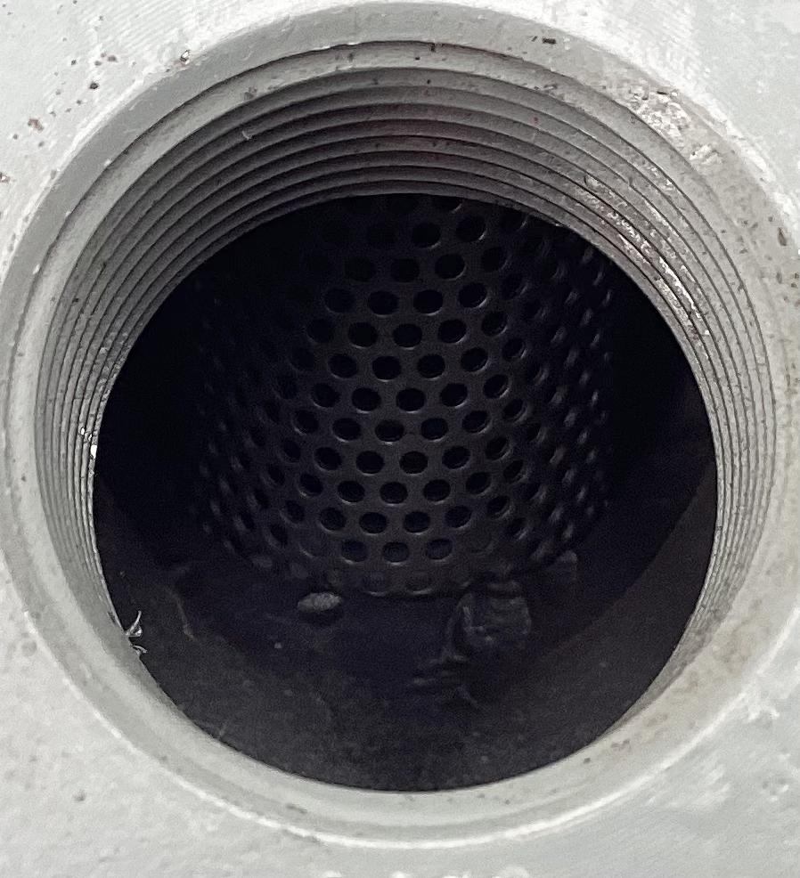 Y-Strainer, FNPT, 1", 600#