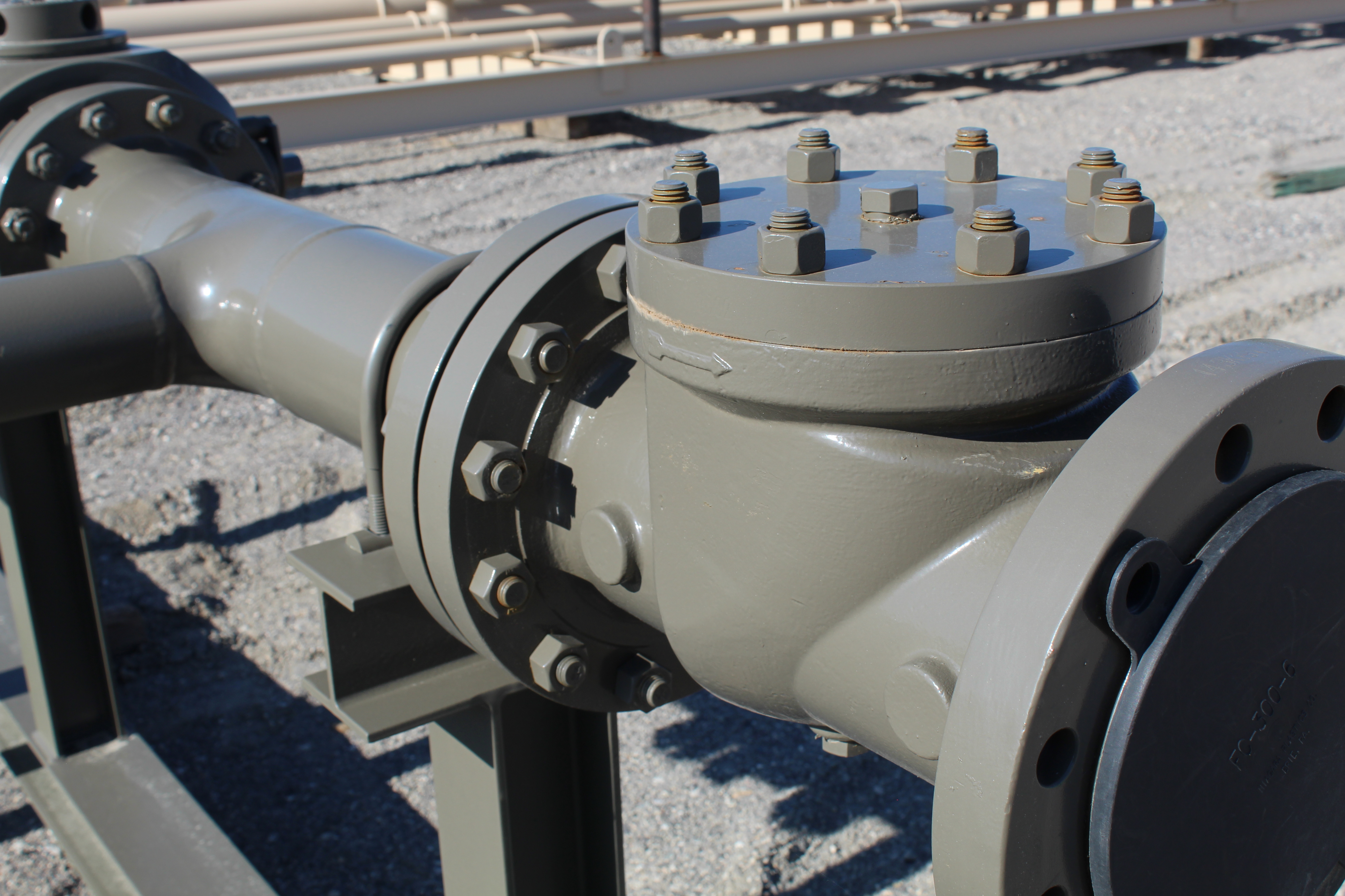 Pig Receiver, 6", 300#