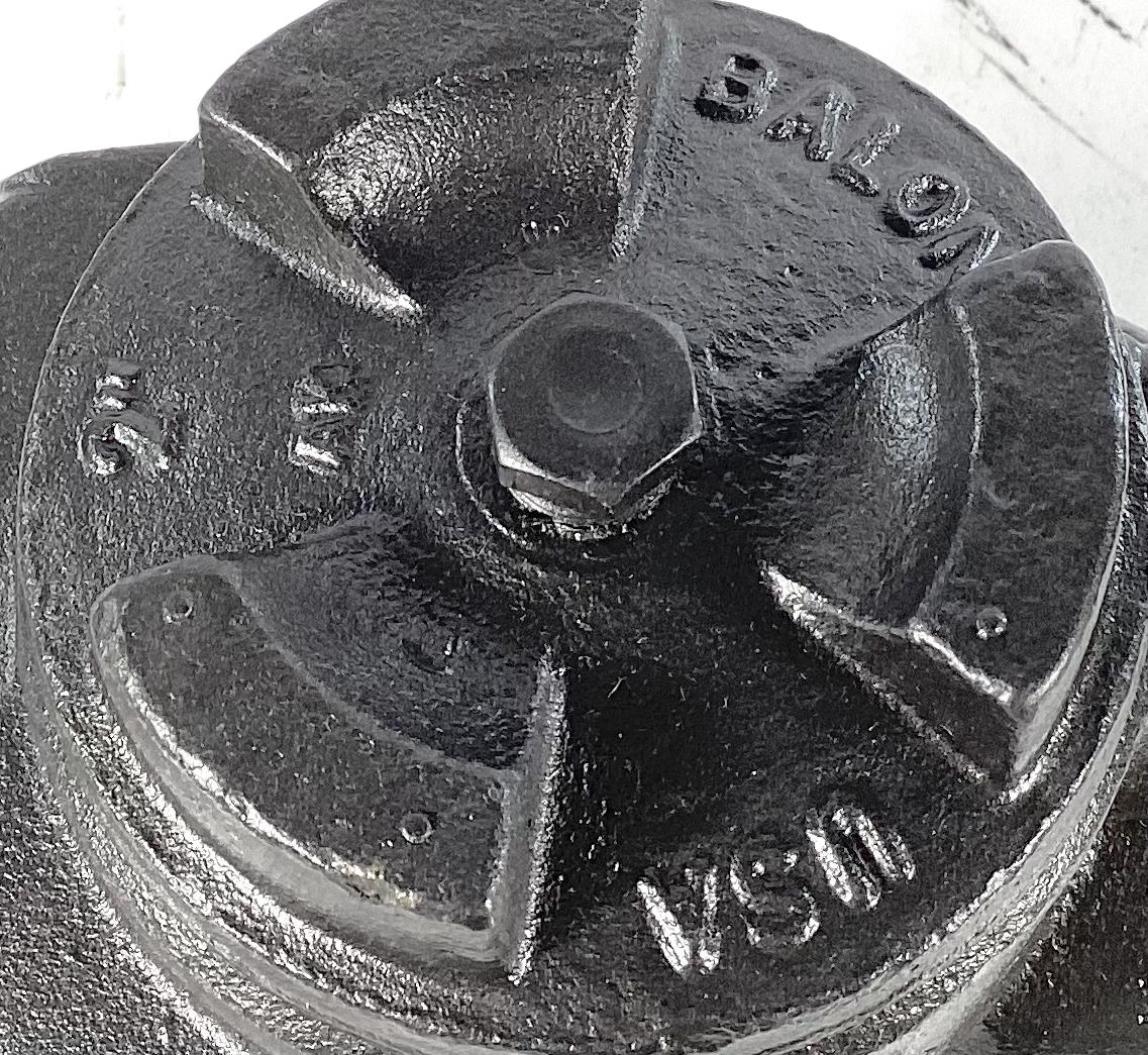 Valve, Check, 2", FxF, 1500#