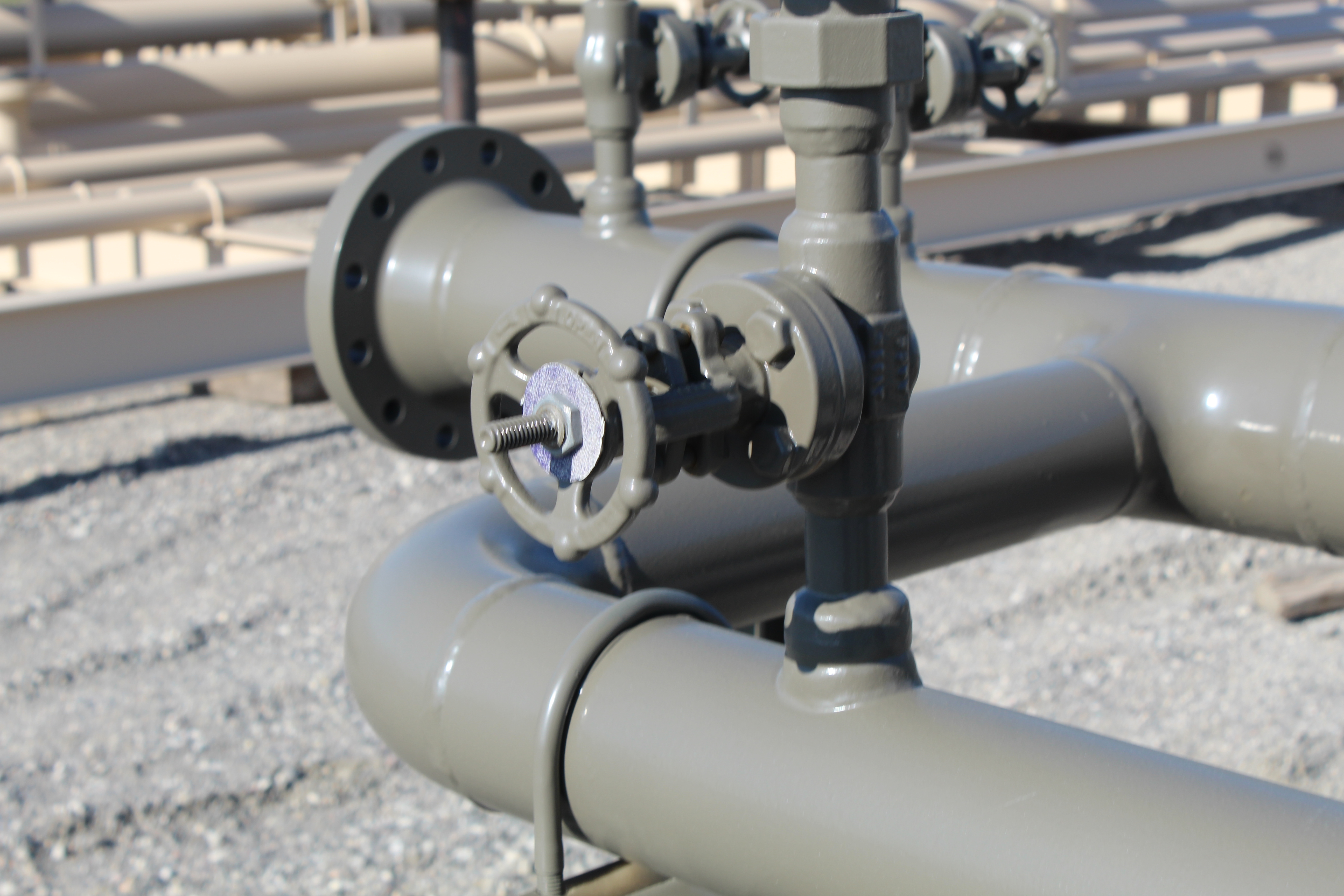 Pig Launcher, 6", 300#