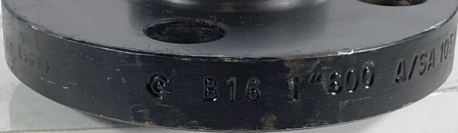 Flange, Pipe, 1", RFWN, 600, XH