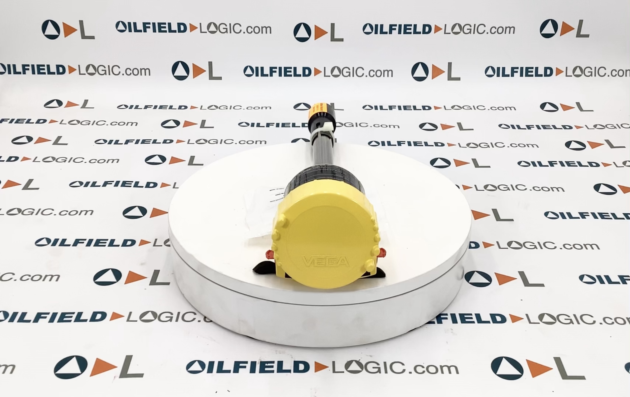 Level Switch, Vibrating, Vegaswing, 1"x10", 1450#