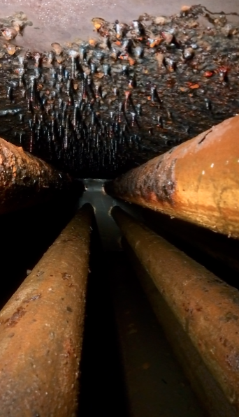 Used Line Heater, 1.5 mmbtu, 3", 5000#